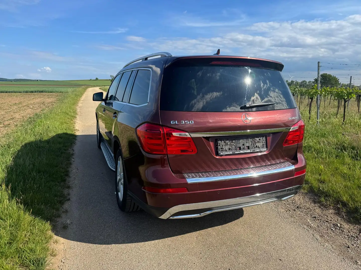 Mercedes-Benz GL 350 GL 350 BlueTEC 4MATIC Aut. Rot - 2