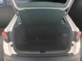 Skoda Karoq 1.5 TSI Drive 125 STANDHZ+NAVI+CANTON+LED Klima Blanc - thumbnail 21