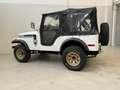 Jeep CJ-5 5.0 v8 autovettura Alb - thumbnail 6