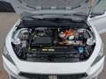 SEAT Leon e-Hybrid FR eHybrid 204 DSG Blanco - thumbnail 19