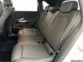 Mercedes-Benz B 180 Progressive MULTIBEAM LED Standheizung Weiß - thumbnail 13