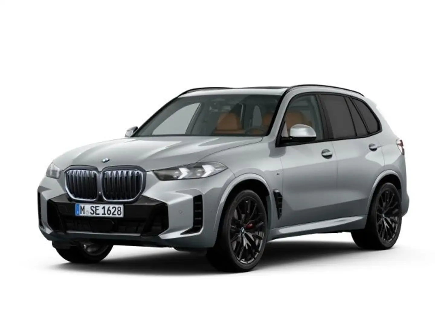 BMW X5 xDrive40d M Sport AHK STHZ PANORAMA H&K Grau - 1