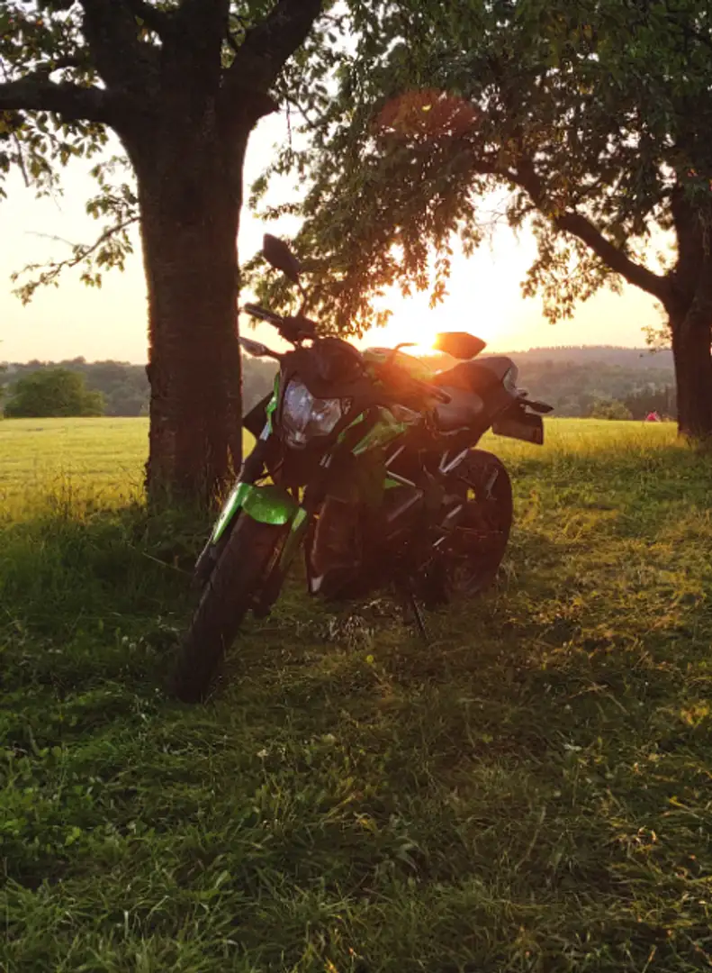 Kawasaki Z 125 Vert - 2