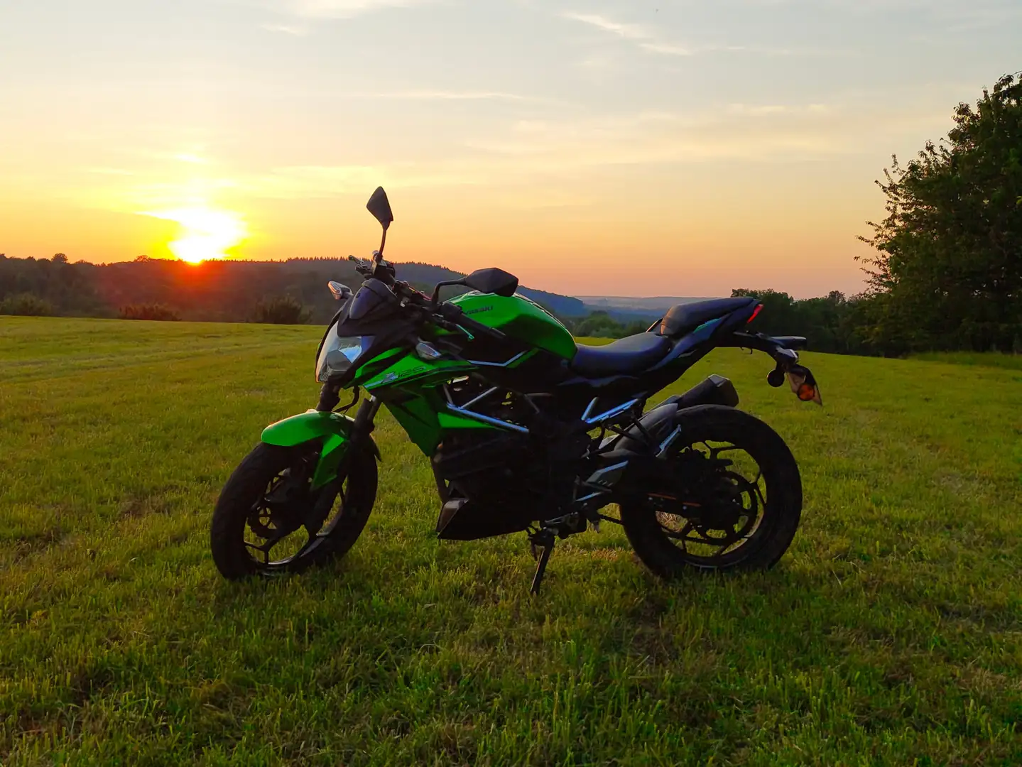 Kawasaki Z 125 Vert - 1