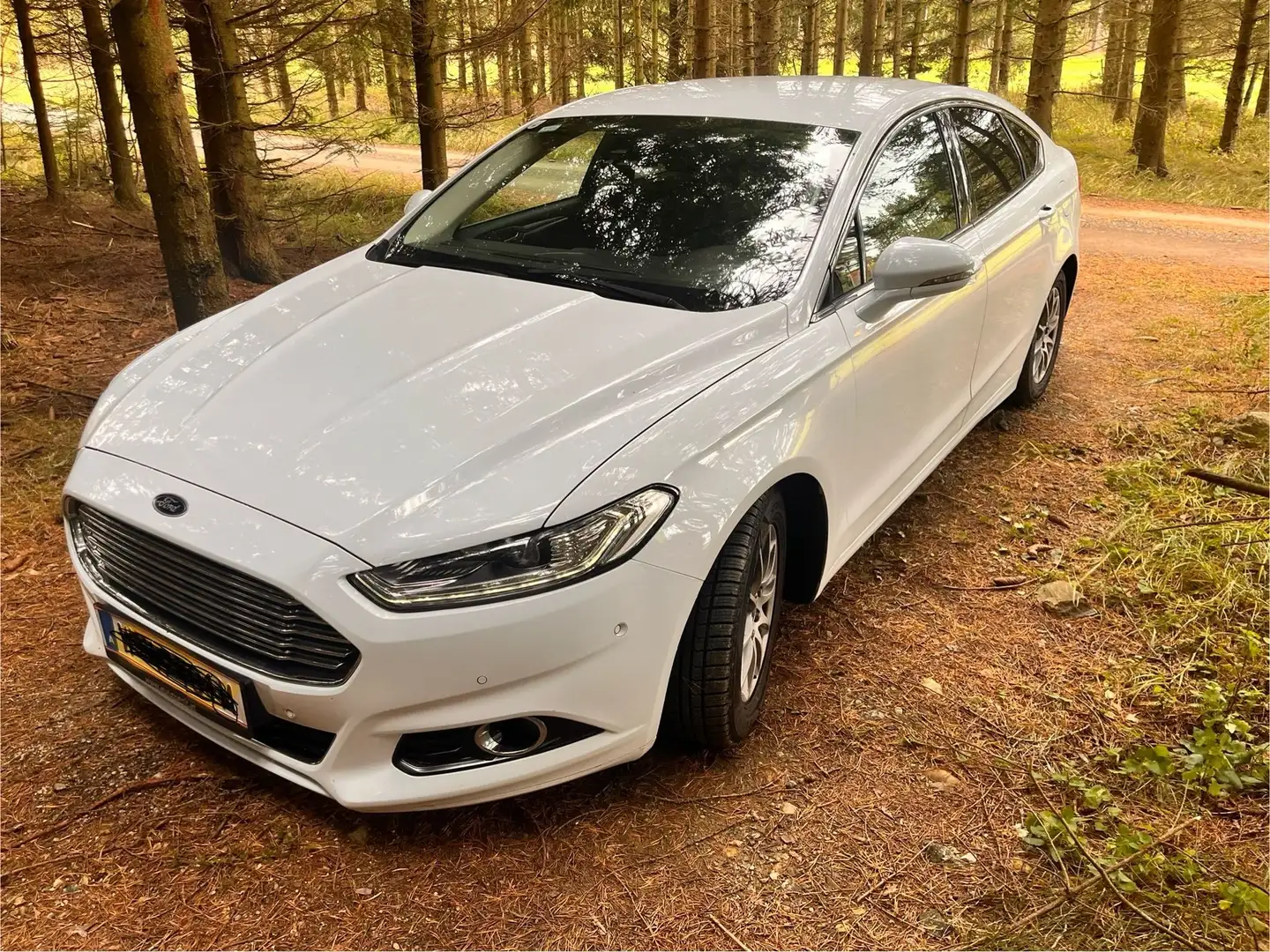 Ford Mondeo MondeoTitanium 1,5ECOnetic TDCi Start/StopTitanium Weiß - 1