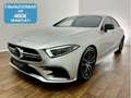 Mercedes-Benz CLS 53 AMG 4 MATIC/ PERFORMANCE/ VOLLAUSSTATTUNG Silber - thumbnail 1