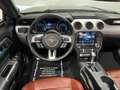 Ford Mustang CABRIOLET 5.0 V8 421ch BVA GT PREMUIM - 22000km -  Noir - thumbnail 11