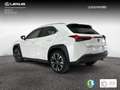 Lexus UX 250h 2.0 Premium Fehér - thumbnail 2