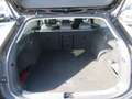 Volkswagen Passat Variant 1.5 eTSI 110 kW Business Automatik Schwarz - thumbnail 10