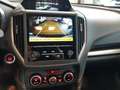 Subaru XV XV II 2021 1.6i 4dventure lineartronic CON IMP GPL Argent - thumbnail 16