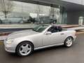 Mercedes-Benz SLK 200 AMG PACK LEDER VERWARMDE ZETELS Zilver - thumbnail 7