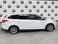 Ford Focus Sb. 1.6TDCi Titanium 115 Blanco - thumbnail 4