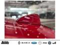 Alfa Romeo Giulia 2.0 Turbo 16V AT8-Q4 Competizione AUTOMATIK LEDER Roşu - thumbnail 25