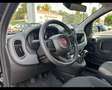 Fiat Panda 1.0 FireFly Hybrid Schwarz - thumbnail 9
