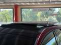 Ford Focus 1.0 Ecoboost ST Line 125 Burdeos - thumbnail 9