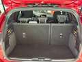 Ford Focus 1.0 Ecoboost ST Line 125 Burdeos - thumbnail 16