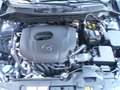 Mazda 2 2 III 2020 1.5 Hybrid Homura Aka 90cv Neopatentati Grigio - thumbnail 12