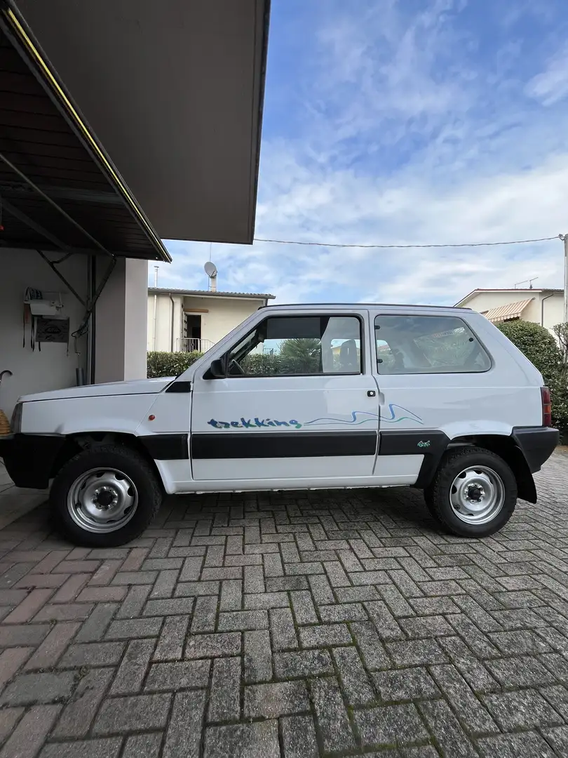 Fiat Panda 1.0 4x4 Trekking Europa - 1