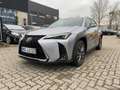 Lexus UX 300e UX 300h F Sport Design Kamera, SHZ, LED, Navi Silber - thumbnail 1