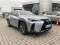 Lexus UX 300e UX 300h F Sport Design Kamera, SHZ, LED, Navi Silber - thumbnail 6