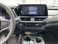Lexus UX 300e UX 300h F Sport Design Kamera, SHZ, LED, Navi Silber - thumbnail 14