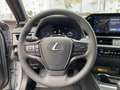 Lexus UX 300e UX 300h F Sport Design Kamera, SHZ, LED, Navi Silber - thumbnail 13