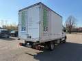 Renault Mascott 110.35 - 2.8 dCi PC Cabinato - thumbnail 7