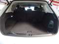 Volkswagen Touareg 3.0 TDI V6 Elegance 4Motion*AHK+LED+ACC Bianco - thumbnail 6