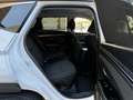 Hyundai TUCSON 1.6 CRDI 48V Tecno Sky 4x2 Blanco - thumbnail 13