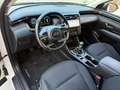 Hyundai TUCSON 1.6 CRDI 48V Tecno Sky 4x2 Blanco - thumbnail 10