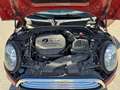 MINI Cooper Mini 1.5 Cooper 3p Rosso - thumbnail 14