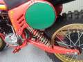Maico MC 250 GS-MC 250 DA COLLEZIONE Rosso - thumbnail 5