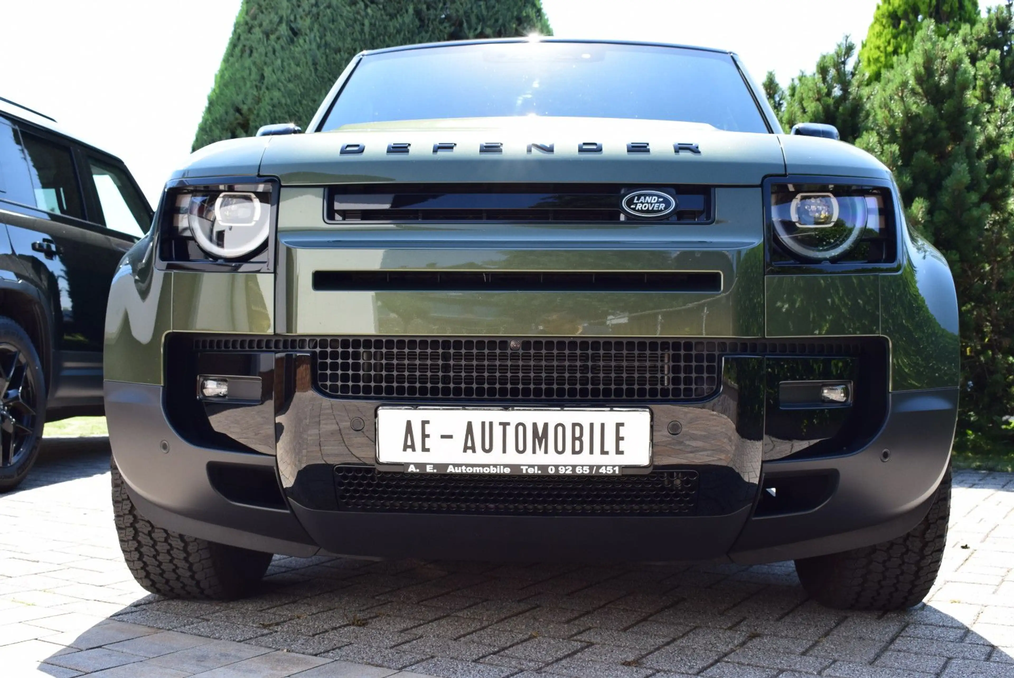 Land Rover Defender 110 D250 S / BLACKPACK/WIPA/LUFT/AHK — photo 8