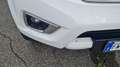 Nissan Navara Navara III 2016 2.3 dci d.cab Visia 4wd 163cv E6 Bianco - thumbnail 15