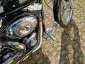 Harley-Davidson Softail FXSTC Lottermann Černá - thumbnail 10