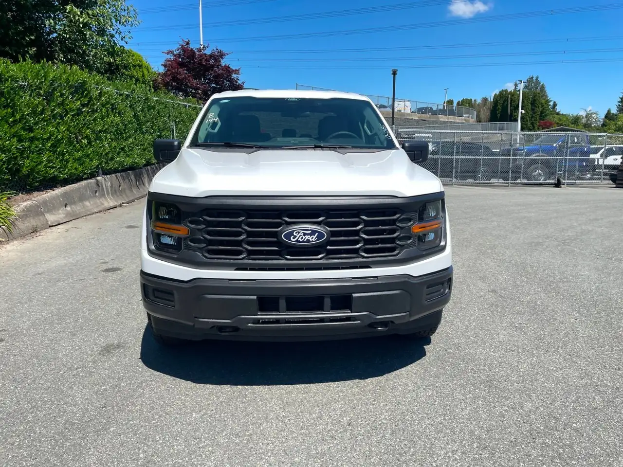 Ford F 150 снимка Ford F 150