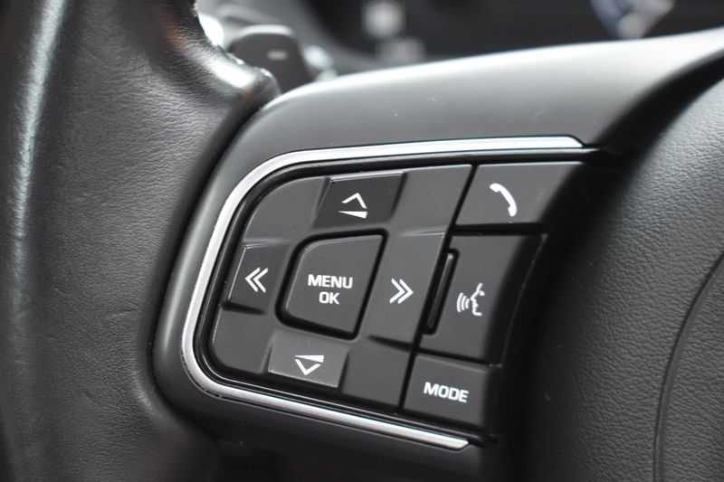 Jaguar F-Pace 2.0 Portfolio AWD 20d '17 Pano Xenon Clima Navi Cr — photo 17