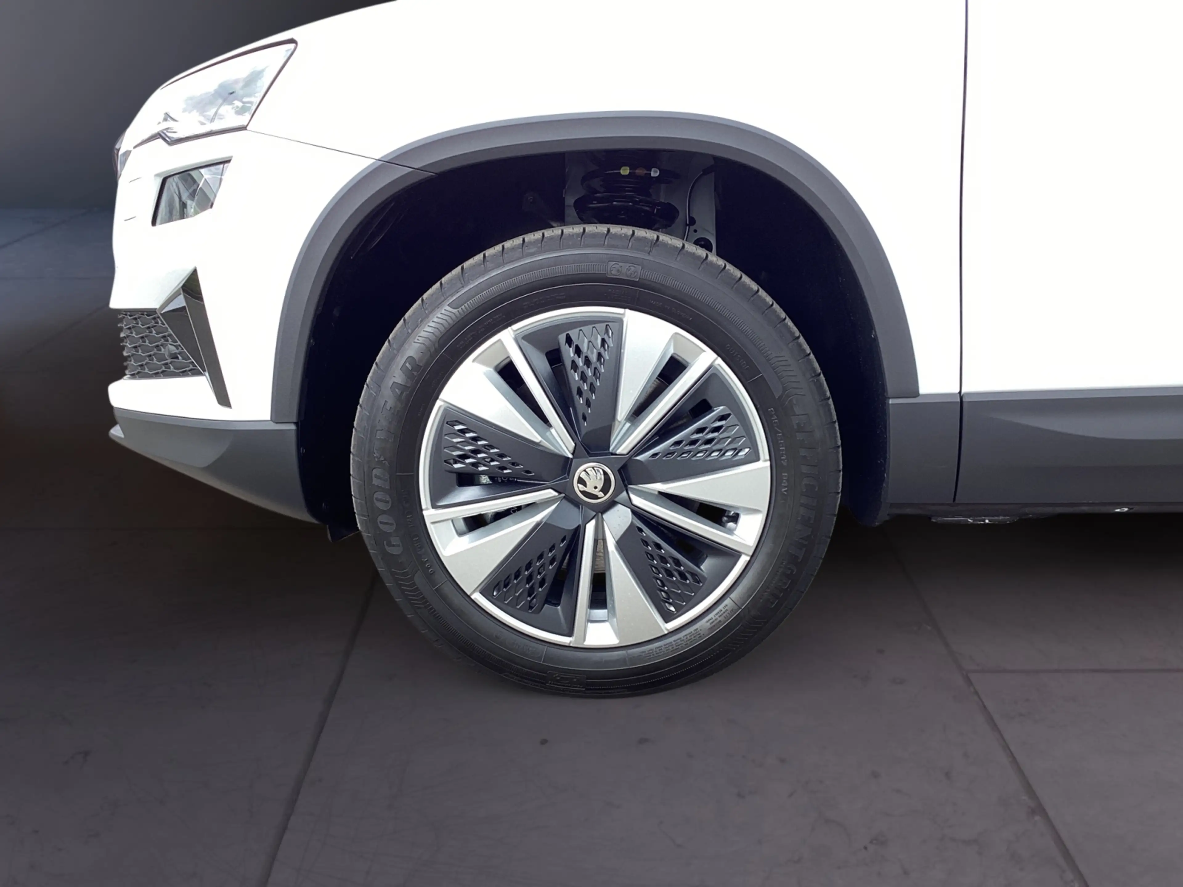 Skoda Karoq 1.5 TSI DSG Selection AHK LED Kamera — photo 7
