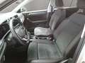Volkswagen T-Roc Style 1.5 l TSI OPF 110 kW (150 PS ) 7-Gan Weiß - thumbnail 9