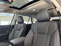 Subaru OUTBACK Platinum Grün - thumbnail 12