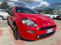 Fiat Punto Punto 1.2 8V 5 porte Young Rosso - thumbnail 7