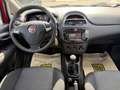 Fiat Punto Punto 1.2 8V 5 porte Young Rosso - thumbnail 18