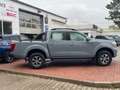 DFSK Rich 6 Pick-Up Grau - thumbnail 3