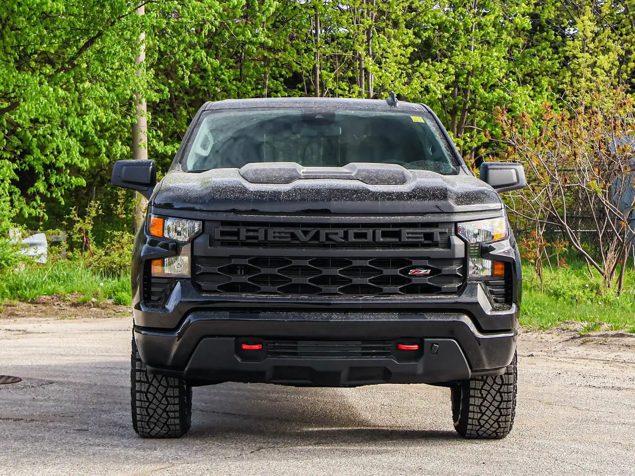 Chevrolet Silverado 1500 снимка Chevrolet Silverado 1500