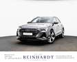 Audi e-tron 50 2x S LINE BLACK 21Z./MATRIX/PANO/360° Grau - thumbnail 1