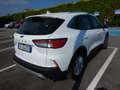Ford Kuga 120cv AUTOMATICA*NO VINCOLI FINANZ*NAVI UNIPRO Blanc - thumbnail 3
