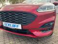 Ford Kuga 2.0 EcoBlue ST-Line AHK*CAM*LED*NAVI*SHZ*LM Rojo - thumbnail 20