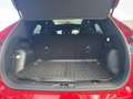 Ford Kuga 2.0 EcoBlue ST-Line AHK*CAM*LED*NAVI*SHZ*LM Rojo - thumbnail 6