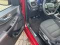 Ford Kuga 2.0 EcoBlue ST-Line AHK*CAM*LED*NAVI*SHZ*LM Rojo - thumbnail 7