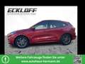 Ford Kuga 2.0 EcoBlue ST-Line AHK*CAM*LED*NAVI*SHZ*LM Rot - thumbnail 1